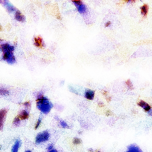 稚嫩校花高耸双乳H动漫视频
